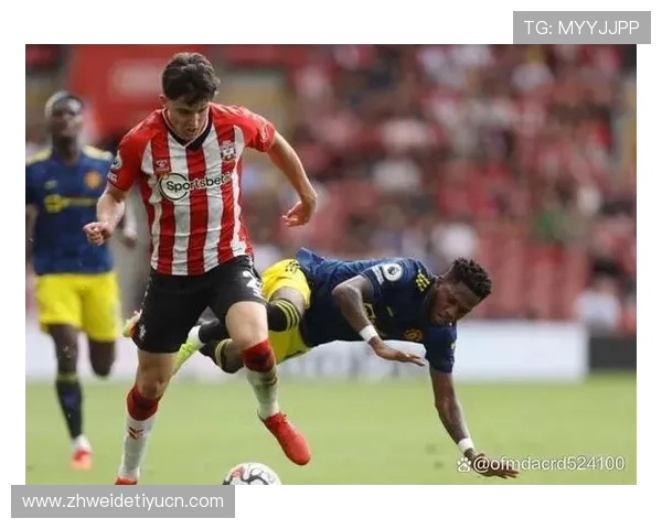 博鱼体育全面解析：最新体育赛事资讯与精彩赛事回顾