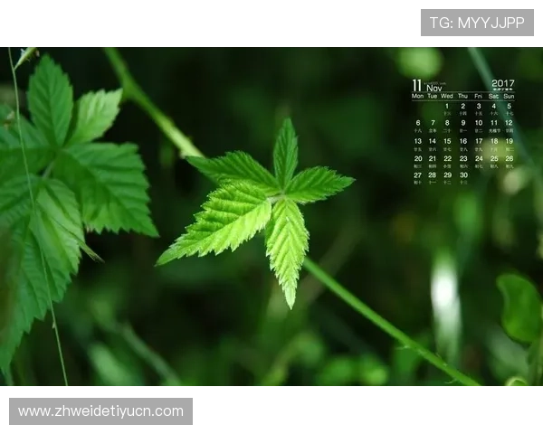 伟德国际网址积极响应国家政策，推动绿色健康博彩环境建设