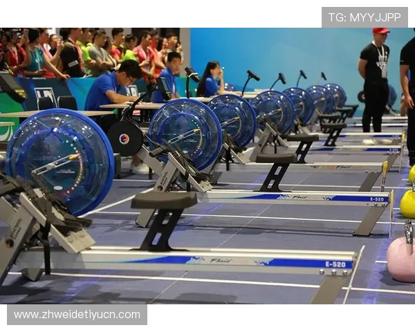 飞速体育娱乐平台助力体育迷实现梦想的多元化体育竞猜与互动体验